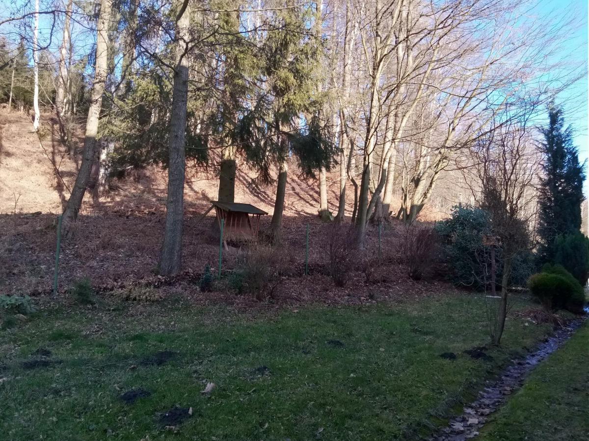 Apartmany Pod Prehradou Chřibská Extérieur photo